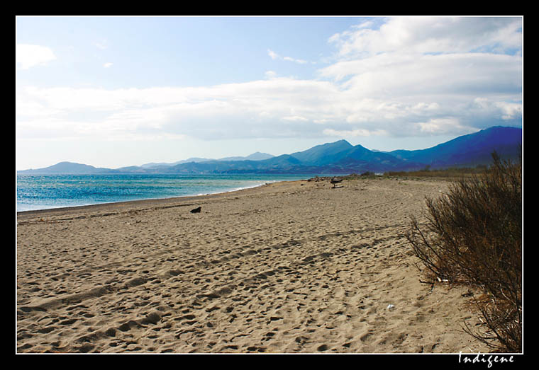 Argels Plage Nord