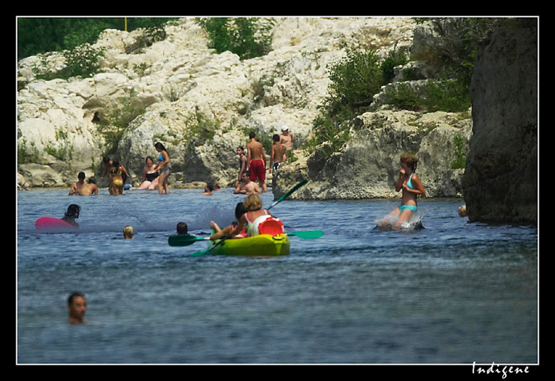 Le plongeon