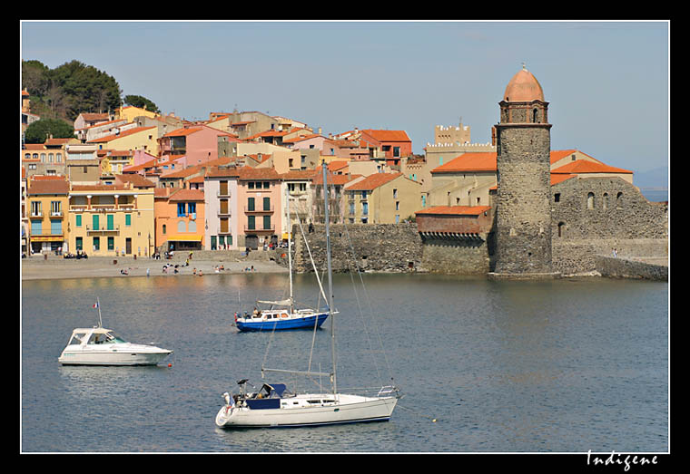 Le port de Collioure