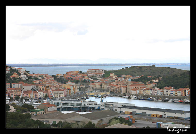 Port fruitier international