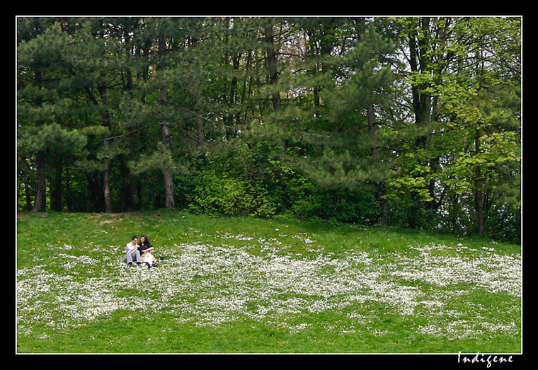 Les amoureux dans la prairie