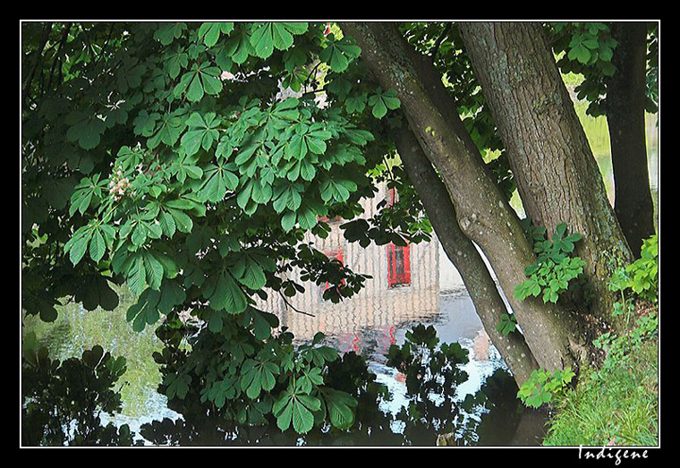 Le reflet du moulin