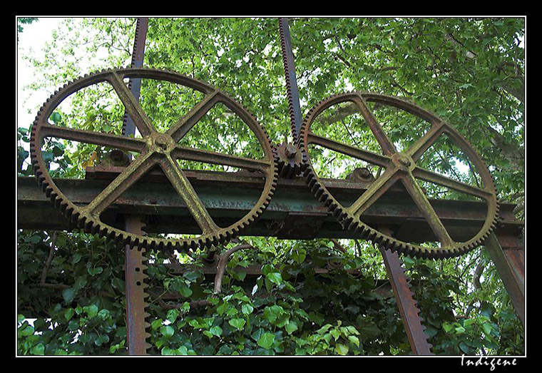 Les roues crantes