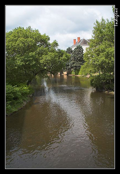 Rivire boise en Sologne