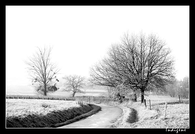 Route du Beaujolais