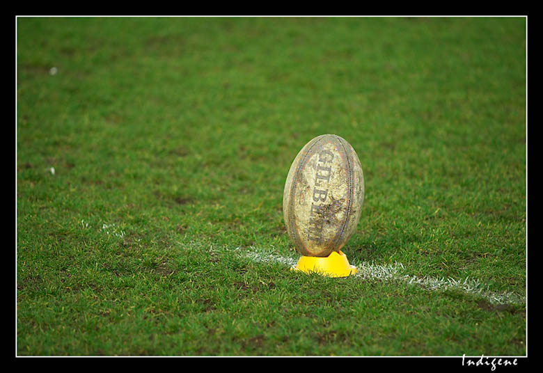 Le ballon de rugby au sol