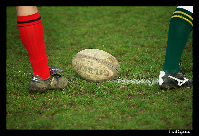 Le ballon de rugby