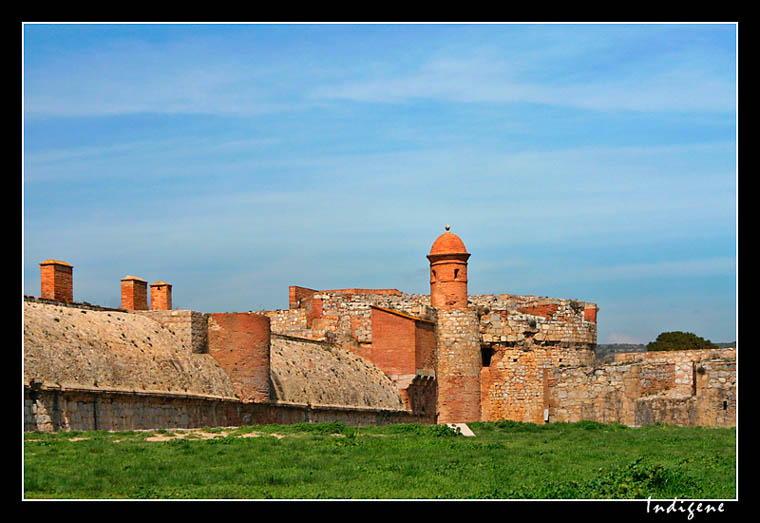 Forteresse de briques