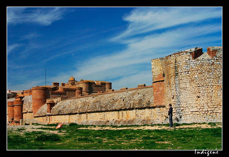 Remparts de briques