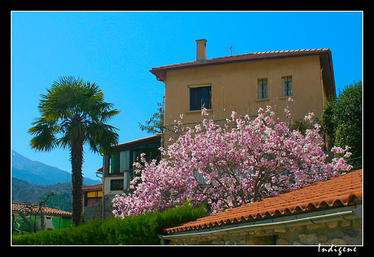 Village de Vernet les Bains