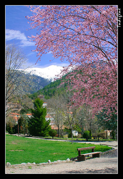 Le printemps dans les Pyrnes