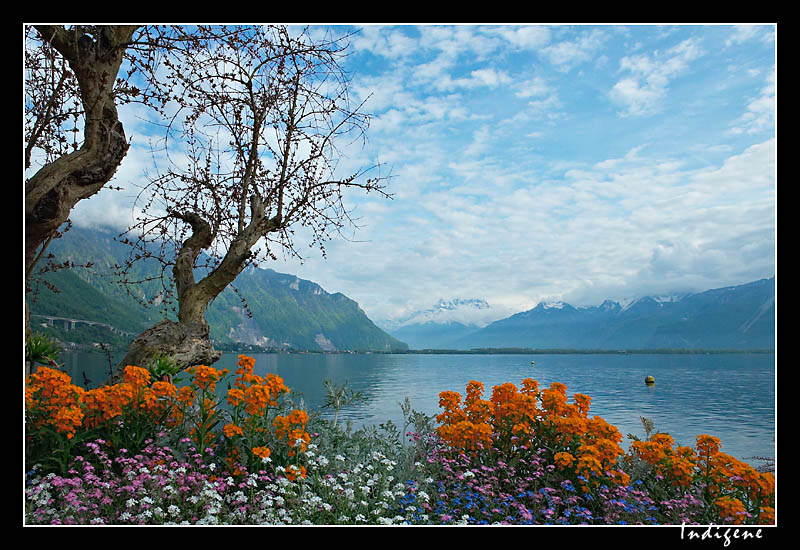 Montreux