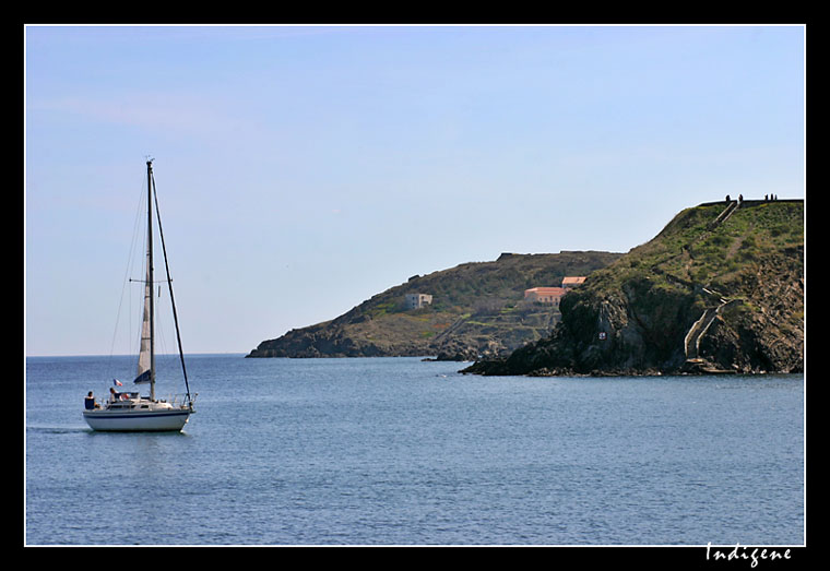 La mer  Collioure