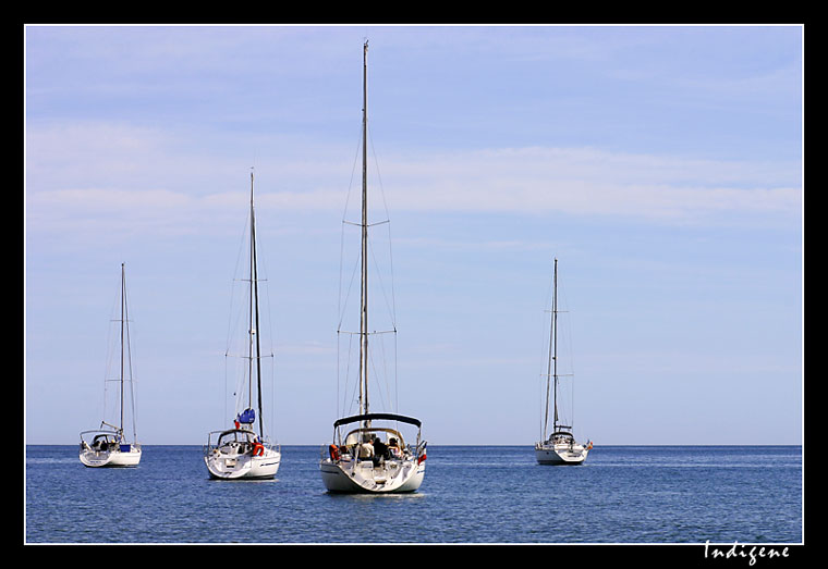 Les voiliers sur l'eau