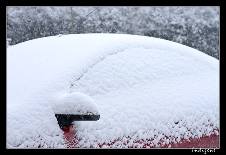 La neige recouvre les voitures