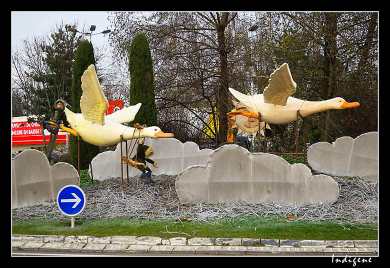 Le vol des oies sauvages