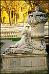 photo L'enfant et le vase