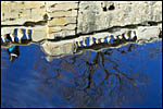 photo Reflet dans la fontaine de Nmes