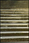 photo Les marches de l'escalier