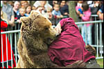 photo L'attaque de l'ours