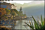 photo Montreux - Lac et Cactus