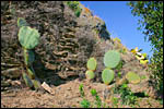 photo Les castus dans les collines