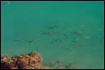 photo Une eau limpide