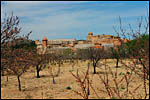 photo La forteresse au milieu des vergers