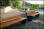 photo Les bancs