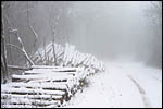 photo La neige dans les bois