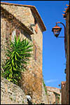 photo Cactus dans les rues de Castelnou