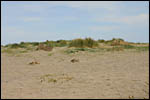 photo Dune de sable 