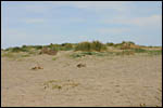 photo Dune de sable 