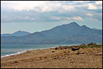 photo La plage du ct d'Argeles