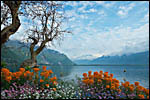 photo Montreux